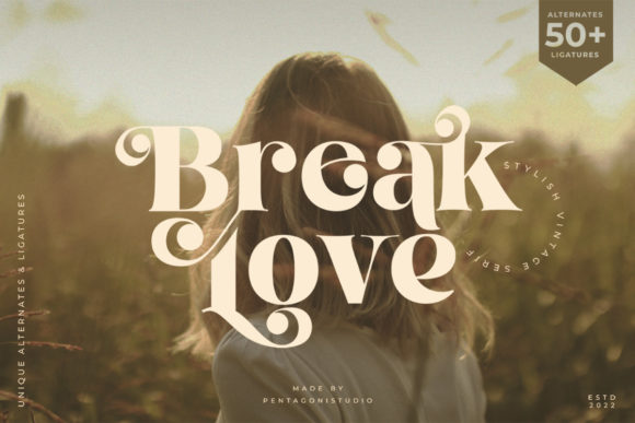 Break Love: A Stylish Display Font for Modern Web Design
