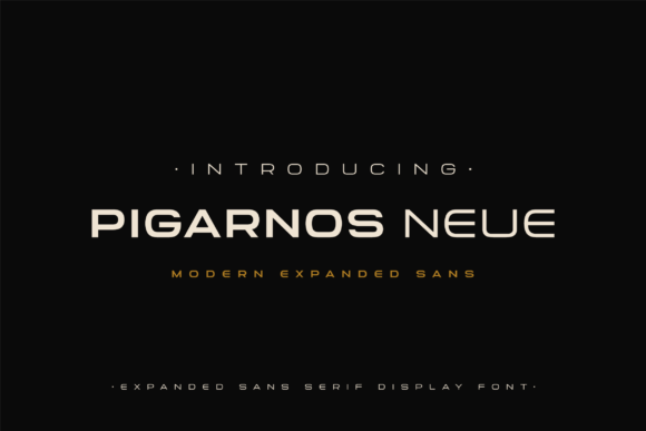 Pigarnos Neue: The Modern Display Typeface for Bold Editorial Design