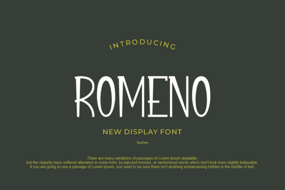 Romeno Font for Modern Branding and Visual Impact