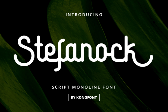 Stefanock: A Playful Display Font for Modern Web Design